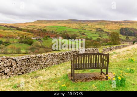 Swaledale im Frühling mit Narzissen und einer Holzbank mit malerischem Blick auf grüne Weiden, Trockenmauern und hohe Fjäle. Horizontal. Stockfoto