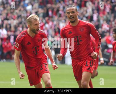 München, Deutschland. April 2025. Leroy Sane (R) von Bayern München feiert sein Tor mit seinem Teamkollegen Konrad Laimer beim Fußball-Erstligisten Bayern München gegen den FSV Mainz 05 am 26. April 2025 in München. Quelle: Philippe Ruiz/Xinhua/Alamy Live News Stockfoto