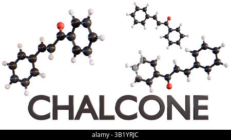 3D-Darstellung molekularer Strukturen von Chalkon, einer chemischen Verbindung der Flavonoidfamilie und des Wortes CHALCONE. Stockfoto