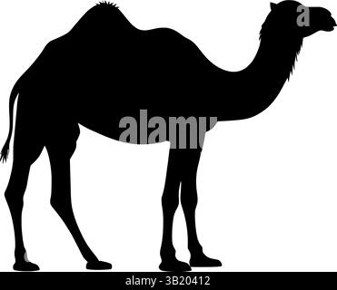 Kamel Silhouette Vektor Illustration Wüste Tier Umriss Grafik Design Bild Kunst Stock Vektor