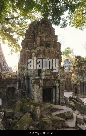TA Prohm, Angkor Wat, Angkor, UNESCO-Weltkulturerbe, Siem Reap, Kambodscha, Indochina, Südostasien, Asien Stockfoto