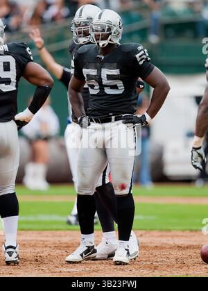 19. September 2010: Linebacker Rolando McClain (55) der Oakland Raiders im Oakland-Alameda County Coliseum in Oakland, CA. Die Raiders besiegten die Rams mit 16:14. Damon Tarver/CSM(Bild: © Damon Tarver/Cal Sport Media/ZUMApress.com) Stockfoto