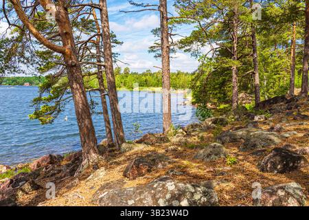 Landschaft mit Felsen und Bäumen in der Nähe von Figeholm in Schweden. Stockfoto