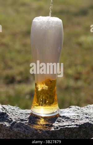 Bier. Ein Glas Bier aus der Nähe vor der untergehenden Sonne. Ein kaltes, leichtes Craft-Bier im Glas Stockfoto