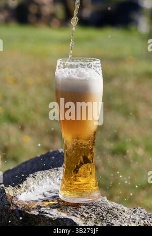 Bier. Ein Glas Bier aus der Nähe vor der untergehenden Sonne. Ein kaltes, leichtes Craft-Bier im Glas Stockfoto