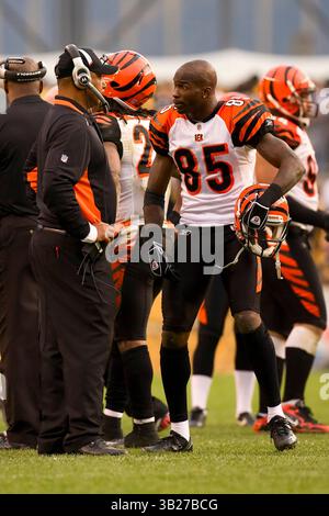 15. November 2009: Cincinnati Bengals Wide Receiver Chad Ochocinco (85) spricht mit Cincinnati Bengals-Cheftrainer Marvin Lewis während des NFL-Spiels zwischen den Cincinnati Bengals und den Pittsburgh Steelers im Heinz Field in Pittsburgh, Pennsylvania. Die Bengals schlugen die Steelers zum zweiten Mal in dieser Saison, 18.-12. (Bild: © Chris Szagola/Cal Sport Media/ZUMApress.com) Stockfoto