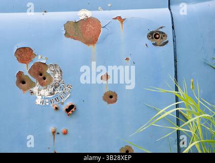 Schusslöcher sind auf eine alte Autotür in einem Schrottplatz, Door County, Wisconsin Stockfoto