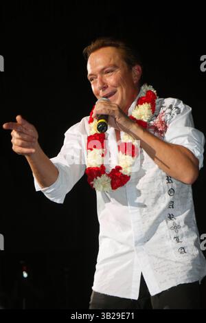 David Cassidy tritt am Queensborough Community College während eines seltenen Live-Konzerts am Wochenende vor einer ausverkauften Menschenmenge in New York City auf. 11.-21.-2009. I14686BT.(Bild: © Barry Talesnick/Globe Photos/ZUMApress.com) Stockfoto