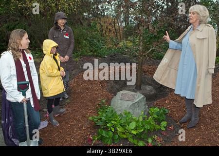7. November 2009 – Vancouver, British Columbia, Kanada – Prinz Charles' Ehefrau CAMILLA PARKER BOWLES, die Herzogin von Cornwall, spricht mit OREN PRINCZ-LEBEL (nahe), CALLIE WONG-TURNER (FAR) und REBECCA MILLS, nachdem sie ihr bei ihrem Spaziergang durch den VanDusen Botanical Garden in Vancouver mit einer Baumpflanzung und Gedenktafel geholfen haben. (Kreditbild: © Heinz Ruckemann/ZUMA Press) Stockfoto