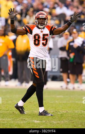 15. November 2009: Cincinnati Bengals Wide Receiver Chad Ochocinco (85) versucht Cincinnati Bengals Quarterback Carson Palmer (9) während des NFL-Spiels zwischen den Cincinnati Bengals und den Pittsburgh Steelers im Heinz Field in Pittsburgh, Pennsylvania, Aufmerksamkeit zu erregen. Die Bengals schlugen die Steelers zum zweiten Mal in dieser Saison, 18.-12. (Bild: © Chris Szagola/Cal Sport Media/ZUMApress.com) Stockfoto
