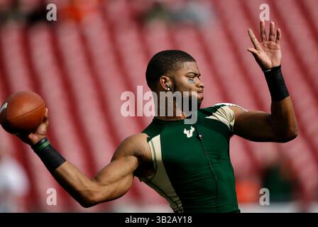 NOVEMBER 2009 - TAMPA, FL, USA - WILLIE J. ALLEN JR. | Times .TP 312214 ALLE BULLS.(11/28/2009 Tampa) Bulls Quarterback B.J. Daniels (7) wärmt sich vor dem Miami Spiel am Samstagnachmittag auf...Beschreibung.Viertel des University of Miami Hurricanes and University of South Florida Bulls Spiel Samstag, 28. November 2009 im Raymond James Stadium, Fla. [WILLIE J. ALLEN JR., Times] (Credit Image: © St. Petersburg Times/ZUMApress.com) Stockfoto