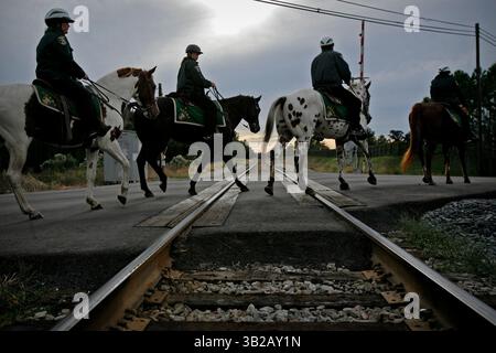 28. November 2009 - Tampa, FL, USA - EDMUND D. FOUNTAIN | Times .TP 315317 FOUN MISSING 10.(11/28/2009 Valrico) die Hillsborough County Sheriffs beritten Posse auf der Mulrennan Road in Richtung Süden auf ihrer Suche nach dem zweijährigen Luis Martinez Samstagmorgen in Valrico. Martinez verschwand am Freitagnachmittag und wurde zuletzt beim Spielen in einem Nachbarhof in der Silver Lane in Valrico gesehen. Etwa 200 Freiwillige waren am Samstag um 11:20 Uhr zur Hilfe gekommen. [EDMUND D. FOUNTAIN, Times] (Bild: © St. Petersburg Times/ZUMApress.com) Stockfoto