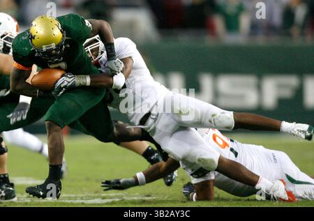 NOVEMBER 2009 - TAMPA, FL, USA - WILLIE J. ALLEN JR. | Times .TP 312214 ALLE BULLS.(11/28/2009 Tampa) Bulls Running Back Moise Planchard (3) Linebacker Darryl Sharpton (50) im dritten Quartal des Spiels...Beschreibung University of Miami Hurricanes und University of South Florida Bulls Spiel Samstag, 28. November 2009 im Raymond James Stadium, Fla. [WILLIE J. ALLEN JR., Times] (Credit Image: © St. Petersburg Times/ZUMApress.com) Stockfoto