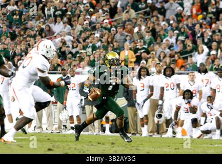 NOVEMBER 2009 - TAMPA, FL, USA - WILLIE J. ALLEN JR. | Times .TP 312214 ALLE BULLS.(11/28/2009 Tampa) Bulls Quarterback B.J. Daniels (7) läuft aus der Tasche und wirft im dritten Quartal des Spiels einen 12-Yard-Touchdown-Pass an A.J. Love. Endpunktzahl 31-10 Miami...Beschreibung Spiel der University of Miami Hurricanes und der University of South Florida Bulls Samstag, 28. November 2009 im Raymond James Stadium, Fla. [WILLIE J. ALLEN JR., Times] (Bild: © St. Petersburg Times/ZUMApress.com) Stockfoto