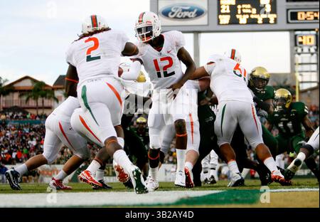 NOVEMBER 2009 - TAMPA, FL, USA - WILLIE J. ALLEN JR. | Times .TP 312214 ALLE BULLS.(11/28/2009 Tampa) Miamis Quarterback Jacory Harris (12) übergibt den Ball auf der Torlinie an Running Back Graig Cooper (2) im zweiten Quartal des Spiels...Beschreibung Spiel der University of Miami Hurricanes und der University of South Florida Bulls Samstag, 28. November 2009 im Raymond James Stadium, Fla. [WILLIE J. ALLEN JR., Times] (Credit Image: © St. Petersburg Times/ZUMApress.com) Stockfoto