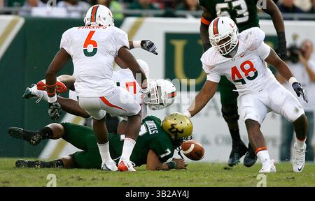 NOVEMBER 2009 - TAMPA, FL, USA - WILLIE J. ALLEN JR. | Times .TP 312214 ALLE BULLS.(11/28/2009 Tampa) Bulls Quarterback B.J. Daniels (7) fummelt und verliert den Ball an die Miami Hurricanes im ersten Quartal des Spiels...Beschreibung University of Miami Hurricanes und University of South Florida Bulls Spiel Samstag, 28. November 2009 im Raymond James Stadium, Fla. [WILLIE J. ALLEN JR., Times] (Credit Image: © St. Petersburg Times/ZUMApress.com) Stockfoto