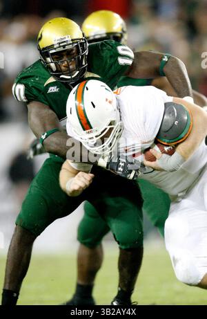 NOVEMBER 2009 - TAMPA, FL, USA - WILLIE J. ALLEN JR. | Times .TP 312214 ALLE BULLS.(11/28/2009 Tampa) Bulls George Selvie (10) bekämpft Offensive Lineman Matt Pipho (65), nachdem er im dritten Quartal des Spiels einen erzwungenen Fumble aufgegriffen hat...Beschreibung University of Miami Hurricanes und University of South Florida Bulls Spiel Samstag, 28. November 2009 im Raymond James Stadium, Fla. [WILLIE J. ALLEN JR., Times] (Credit Image: © St. Petersburg Times/ZUMApress.com) Stockfoto