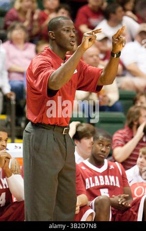 26. November 2009: Orlando, FL, Vereinigte Staaten von Amerika - 26. November 2009: Alabama-Cheftrainer Anthony Grant während der Action beim Old Spice Classic Between Univ. Alabama Crimson Tide und die Baylor Bears. Alabama besiegte Baylor 79-76 im Disney Wide World of Sports Milk House in Lake Buena Vista, FL. (Bild: © Romeo Guzman/Cal Sport Media/ZUMApress.com) Stockfoto