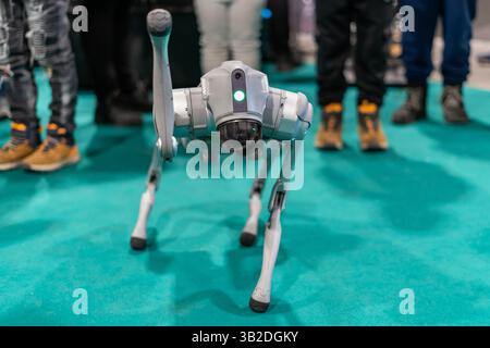 Grauer Militär-Roboterhund bei einer Demonstration mit grünem Hintergrund Stockfoto