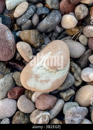 Nahaufnahme von bunten Kieselsteinen an einem Strand mit einem großen strukturierten Stein in der Mitte umgeben von glatten Felsen in verschiedenen Formen und Erdtönen Stockfoto