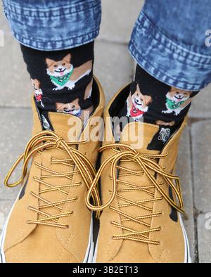 11. Januar 2016 - Wichita, KS, USA - Allie Carleton zeigt ihre Corgi-Socken. (Bild: © Jaime Green/TNS via ZUMA Wire) Stockfoto