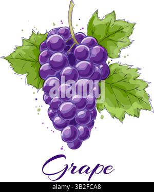 Aquarell-Trauben-Skizze Stock Vektor
