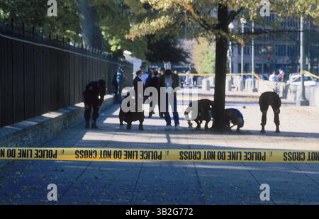 10. Dezember 2014 - Washington, District of Columbia, Vereinigte Staaten von Amerika - Washington, D.C. 10-30-1994. Polizisten von Tatorten gehen über den Bürgersteig im FROMT des Weißen Hauses, um nach Beweisen zu suchen, die von der gestrigen Schießerei im Whote-Haus durch Francisco Duran hinterlassen wurden. Duran feuerte ein Assualt-Gewehr durch den Zaun auf dem Nordrasen und einige der Kugeln trafen auf das Gebäude im Bereich des Pressesaal. . Abbildung: Mark Reinstein (Bild: © Mark Reinstein via ZUMA Wire) Stockfoto