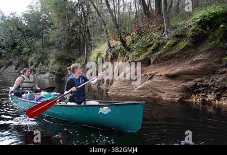 November 2015 - White Springs, Florida, USA - SCOTT KEELER | ZEITEN. Von links nach rechts: Die Studenten Taylor Russell, St. Petersburg, und Paige McDaniel, Neapel, paddeln mit dem Kanu vorbei an verknoteten Baumwurzeln rechts am Ufer des Suwannee River, 11.03.15, in der Nähe von Live Oak, FL während eines dreitägigen Ausflugs auf dem Fluss. Die Reise war Teil der Schulleitung in der Great Outdoors-Klasse, die von Times Outdoor-Redakteur Terry Tomalin unterrichtet wurde. (Bild: © Scott Keeler/Tampa Bay Times via ZUMA Wire) Stockfoto