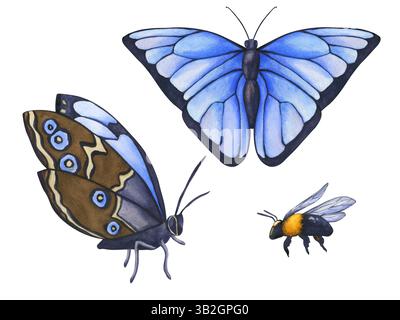 Sammlung von Aquarellinsekten. Aquarell Hand gezeichnete Illustration Blauer Morpho Schmetterling und Hummel isoliert auf transparentem Hintergrund. Blauer Trop Stockfoto