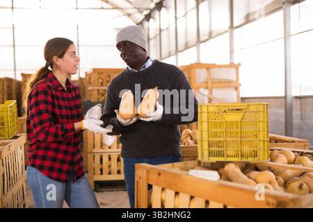 Mann und Frau Bauern reden während des Stapels von Kürbissen Stockfoto