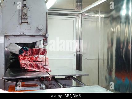 Das Kamelkadaver in Stücke schneiden. Kamelfleisch. Stockfoto