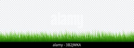 Grashintergrund. Grüner Rand mit Lamellen auf transparentem Hintergrund. Frischer Teppicheffekt. Natur-, Frühlings-, Garten- oder umweltfreundliches Design. Sommerwiese Stock Vektor