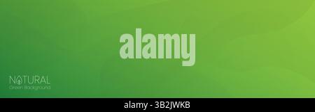 Ökologischer Hintergrund. Grüne abstrakte Tapete mit glattem natürlichen Verlauf für Öko-, Bio- oder Wellness-Design. Sanfte grüne Wellen für Präsentationen, Web Stock Vektor