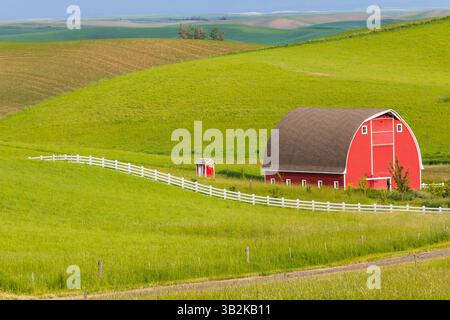 Juni 2018. USA, Idaho, Moskau. Region Palouse. Rote Scheune. Grüne Weizenfelder. Weißer Zaun. Nur Redaktionelle Verwendung. Stockfoto