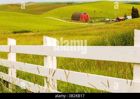 Juni 2018. USA, Idaho, Moskau. Region Palouse. Rote Scheune. Grüne Weizenfelder. Weißer Zaun. Nur Redaktionelle Verwendung. Stockfoto