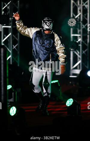 Tokio, Japan. April 2025. Der mexikanische Profi-Wrestler oder Luchador Pantera kommt während des Lucha Fiesta-Events in der Sumo Arena in Tokio zum Einsatz. Japanische Profi-Wrestler traten in neun Spielen gegen ausländische Spieler (hauptsächlich aus Mexiko) an. (Kreditbild: © Rodrigo Reyes Marin/ZUMA Press Wire) NUR REDAKTIONELLE VERWENDUNG! Nicht für kommerzielle ZWECKE! Stockfoto
