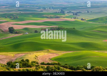 USA, Bundesstaat Washington, Eastern Washington, Region Palouse. Colfax. Blick vom Steptoe Butte. Stockfoto