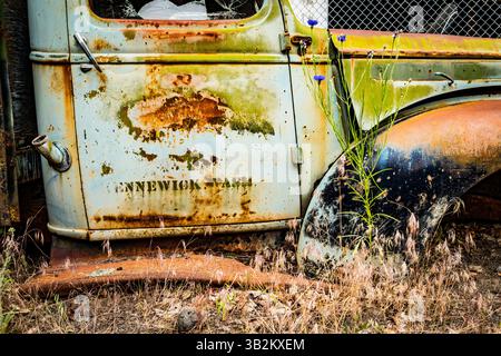 USA, Bundesstaat Washington, Eastern Washington, Region Palouse. Colfax. Stockfoto
