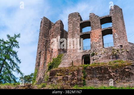 Ruine Ramburg in Ramberg (Südpfalz/Deutschland) Stockfoto
