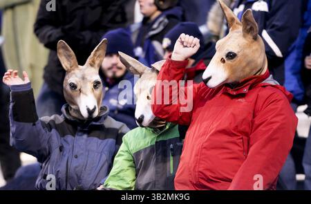 22. Dezember 2015 - Boise, ID, USA - Akron-Fans feiern in den letzten Sekunden eines Sieges gegen Utah State 23-21 im berühmten Idaho Potato Bowl im Albertsons Stadium in Boise, Idaho, am Dienstag, den 22. Dezember 2015. (Bild: © Kyle Green/TNS via ZUMA Wire) Stockfoto