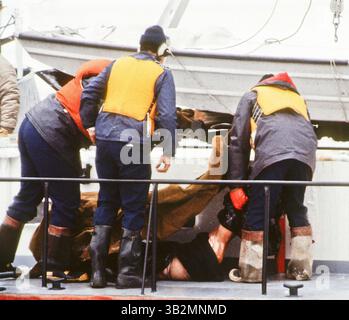 30. August 2015 – Washington, District of Columbia, Vereinigte Staaten von Amerika – Washington, D.C. 1-16-1982. Am 13. Januar 1982 stürzte Air Florida Flug 90 in Washington, D.C. 14th Street Bridge ab und fiel kurz nach dem Start in den Potomac River. Insgesamt kamen 70 Passagiere, 4 Besatzungsmitglieder und 4 Autofahrer auf der Brücke ums Leben. Der Absturz der Boeing 737-200 war darauf zurückzuführen, dass ein Anti-Icing-System nicht mehr vorhanden war. Mitglieder der DC. Polizei, Taucher der US Navy und die US-Küstenwache haben eines von 70 Opfern des Air-Fluges 90 aus dem gefrorenen Potomac River geborgen. . Abbildung: Mark Reinstein (Bild: © Stockfoto