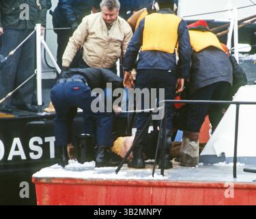 30. August 2015 – Washington, District of Columbia, Vereinigte Staaten von Amerika – Washington, D.C. 1-16-1982. Am 13. Januar 1982 stürzte Air Florida Flug 90 in Washington, D.C. 14th Street Bridge ab und fiel kurz nach dem Start in den Potomac River. Insgesamt kamen 70 Passagiere, 4 Besatzungsmitglieder und 4 Autofahrer auf der Brücke ums Leben. Der Absturz der Boeing 737-200 war darauf zurückzuführen, dass ein Anti-Icing-System nicht mehr vorhanden war. Mitglieder der DC. Polizei, Taucher der US Navy und die US-Küstenwache haben eines von 70 Opfern des Air-Fluges 90 aus dem gefrorenen Potomac River geborgen. . Abbildung: Mark Reinstein (Bild: © Stockfoto