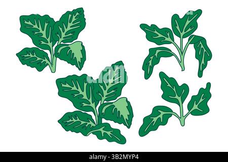 Botanische tropische Blätter isoliert auf weißem Hintergrund. Hand gezeichneter grüner Laub Pflanze Vektor Illustration Set. Grafisches Designelement für Geburtstag in Stock Vektor