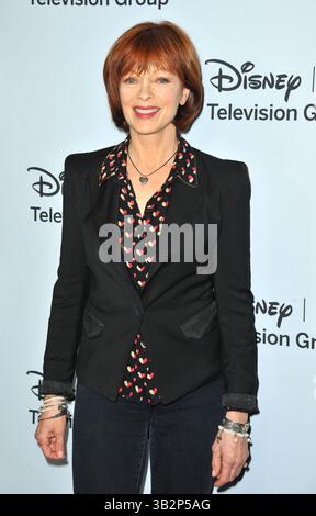 Francis Fisher bei der ABC/Disney TCA Winter Press Tour Party im Langham Huntington Hotel and Spa in Pasadena, Kalifornien - 17. Januar 2014 Stockfoto