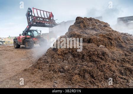 Eine Kompostmischung mit einem Lader auf einem Bauernhof, der sich zur Herstellung von torffreiem Kompost diversifiziert hat. Cumbria, Großbritannien. Stockfoto