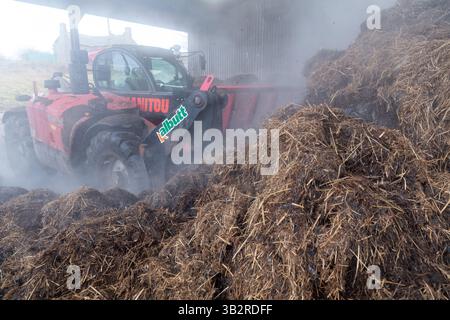 Eine Kompostmischung mit einem Lader auf einem Bauernhof, der sich zur Herstellung von torffreiem Kompost diversifiziert hat. Cumbria, Großbritannien. Stockfoto