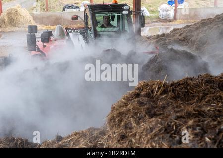 Eine Kompostmischung mit einem Lader auf einem Bauernhof, der sich zur Herstellung von torffreiem Kompost diversifiziert hat. Cumbria, Großbritannien. Stockfoto