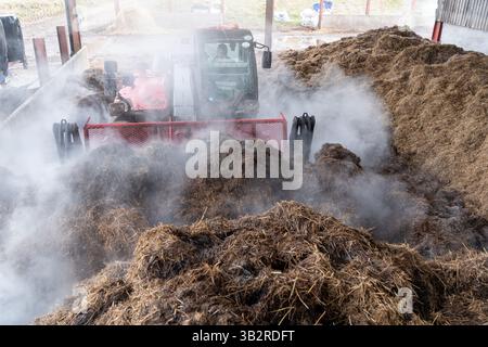 Eine Kompostmischung mit einem Lader auf einem Bauernhof, der sich zur Herstellung von torffreiem Kompost diversifiziert hat. Cumbria, Großbritannien. Stockfoto
