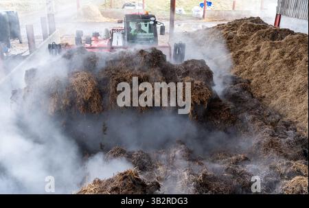 Eine Kompostmischung mit einem Lader auf einem Bauernhof, der sich zur Herstellung von torffreiem Kompost diversifiziert hat. Cumbria, Großbritannien. Stockfoto