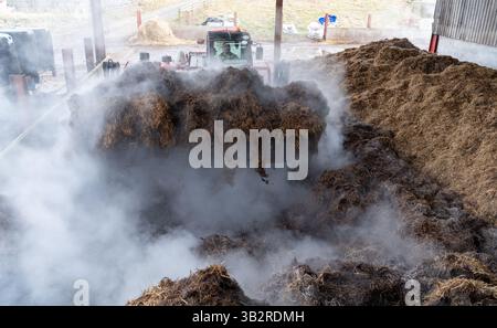 Eine Kompostmischung mit einem Lader auf einem Bauernhof, der sich zur Herstellung von torffreiem Kompost diversifiziert hat. Cumbria, Großbritannien. Stockfoto